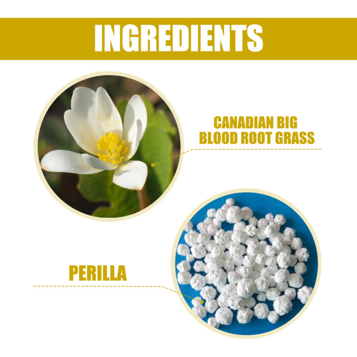 Wart Essence Removes Dark Moles Flesh Moles Repair Skin Neck Flesh Grains Flat Especially Corns Remove Warts - Image 6