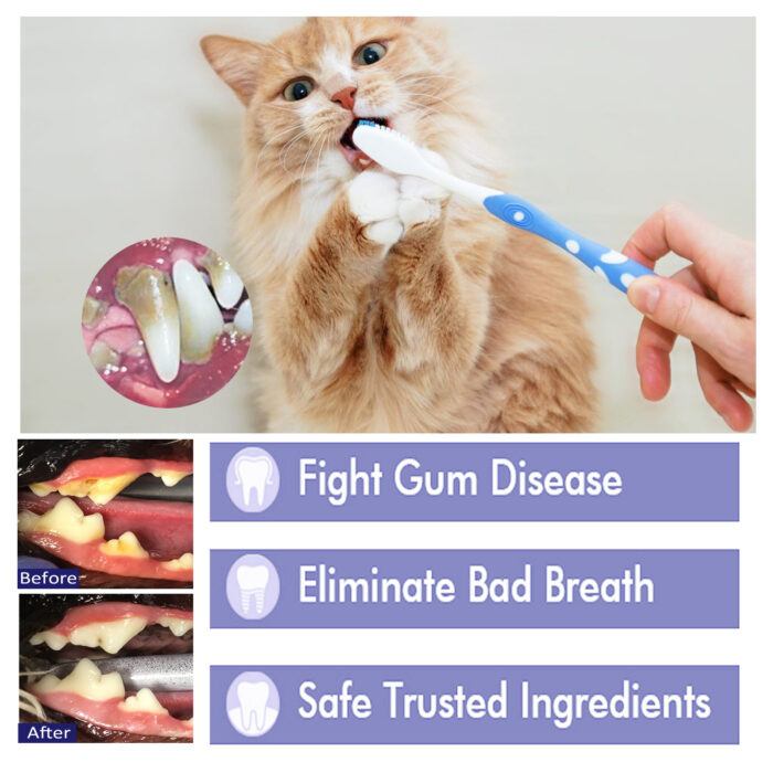 Pet V34 Toothpaste, Pet Clean Bad Breath Tartar Care Gum Care Toothpaste - Image 4