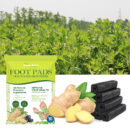 Foot Pads, Foot Massage Ginger Removing Moisture And Cold Body Health Care Foot Pad