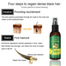 EEL Ginger Hair Spray, Strengthens Hair, Massages Scalp And Restores Hair