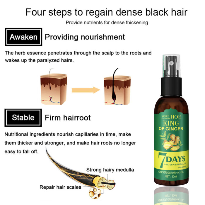 EEL Ginger Hair Spray, Strengthens Hair, Massages Scalp And Restores Hair - Image 4